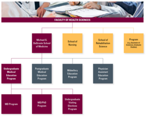 Organization structure of the faculty of Health Sciences at McMaster University