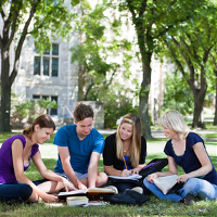 Students study outdoors on grass